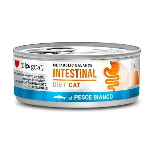 DISUGUAL DIET CAT INTESTINAL PESCADO BLANCO 12X85GR