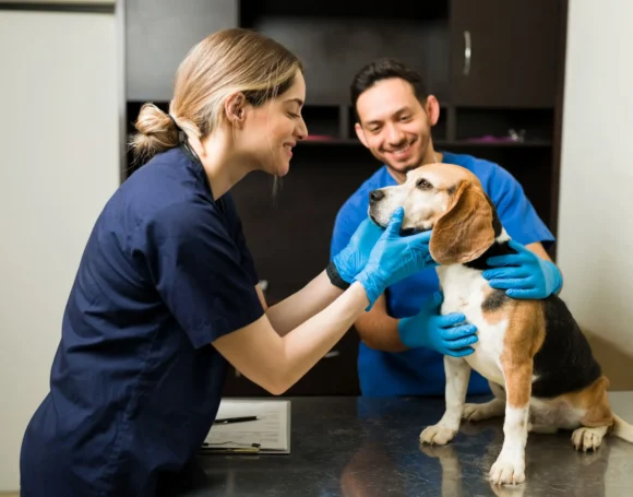 Esterilizacion2