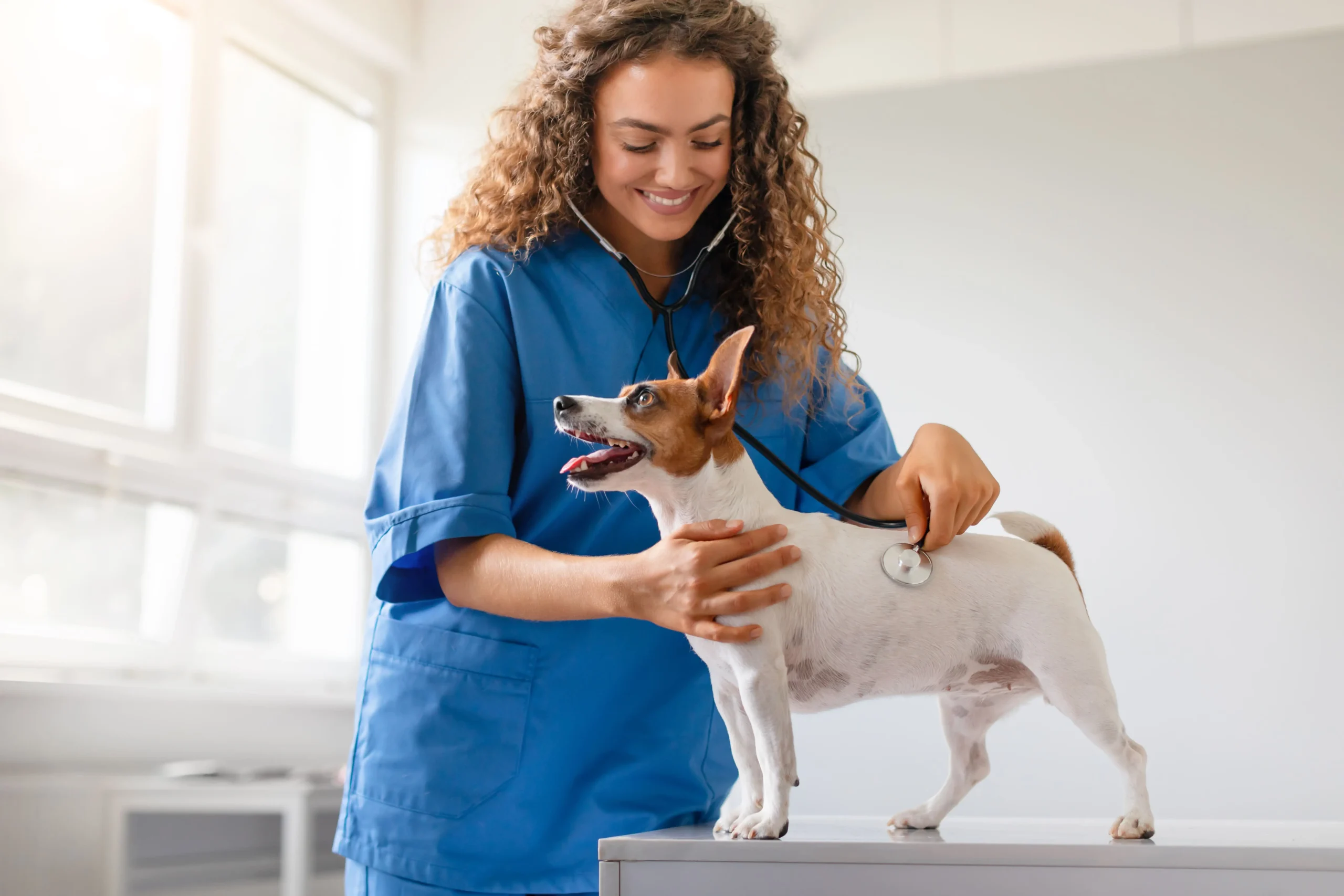 Esterilizacion4