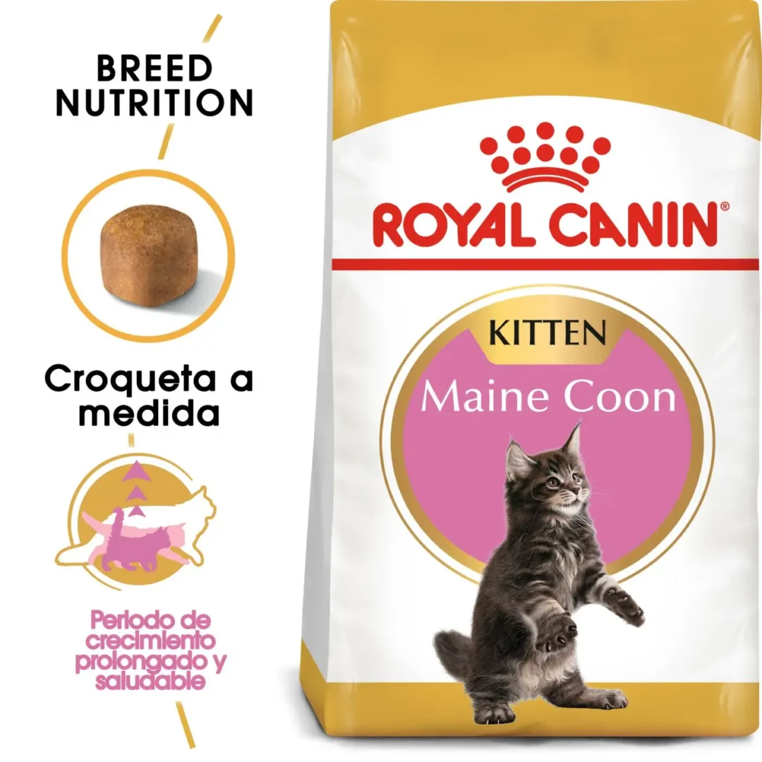 ROYAL FELINE KIITEN MAINE COON 36